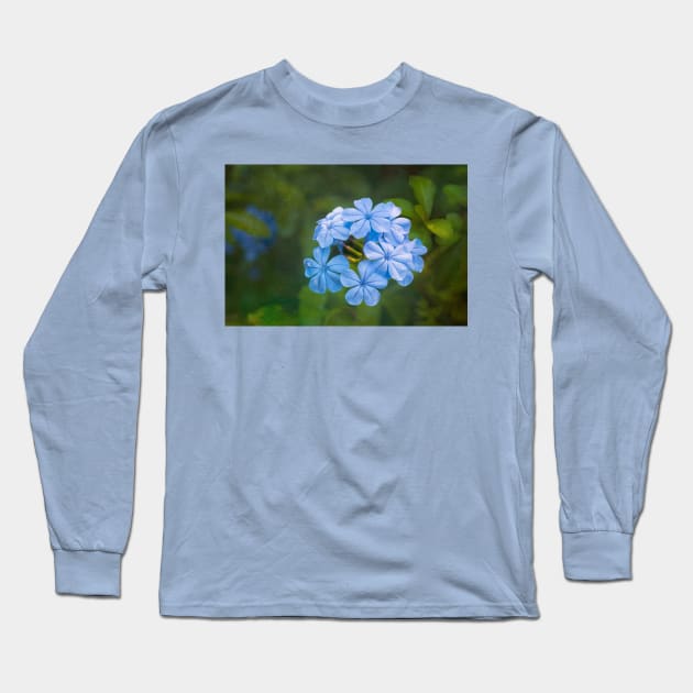 Plumbago Blue Long Sleeve T-Shirt by dianecmcac